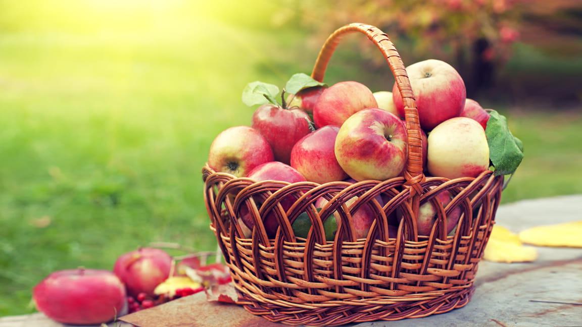 basket of apples